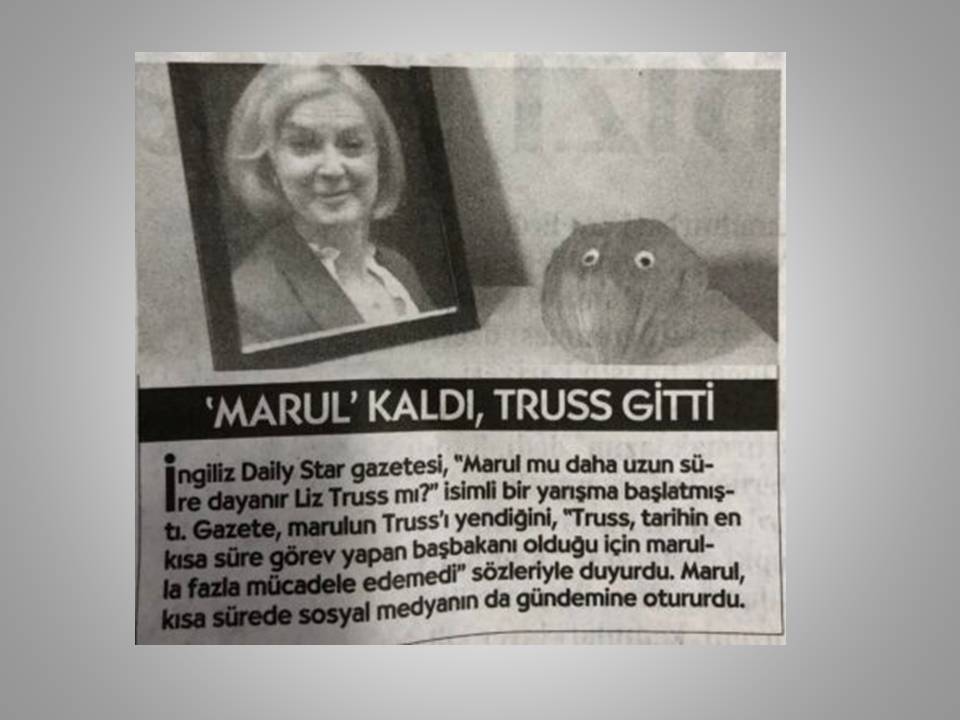 MARUL KADAR OLAMADI