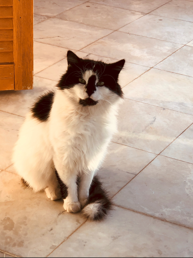 BU DÜNYA BİZİM DEĞİL